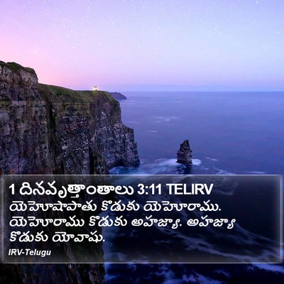 1 దినవృత్తాంతాలు 3:11 TELIRV Bible Verse Image