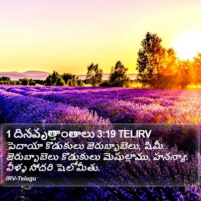 1 దినవృత్తాంతాలు 3:19 TELIRV Bible Verse Image