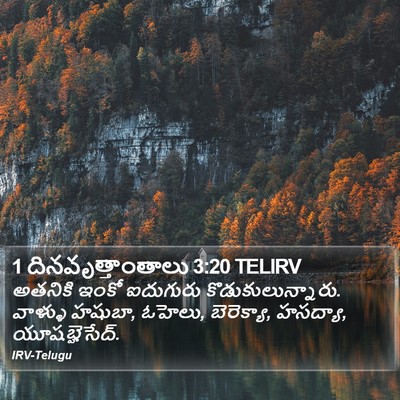 1 దినవృత్తాంతాలు 3:20 TELIRV Bible Verse Image