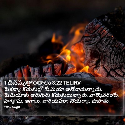 1 దినవృత్తాంతాలు 3:22 TELIRV Bible Verse Image