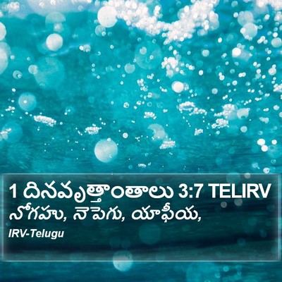 1 దినవృత్తాంతాలు 3:7 TELIRV Bible Verse Image