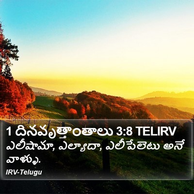 1 దినవృత్తాంతాలు 3:8 TELIRV Bible Verse Image