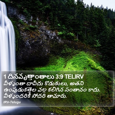 1 దినవృత్తాంతాలు 3:9 TELIRV Bible Verse Image