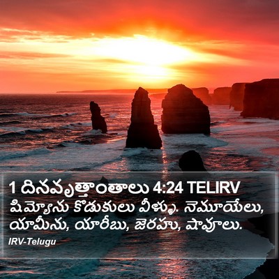 1 దినవృత్తాంతాలు 4:24 TELIRV Bible Verse Image