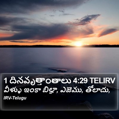 1 దినవృత్తాంతాలు 4:29 TELIRV Bible Verse Image