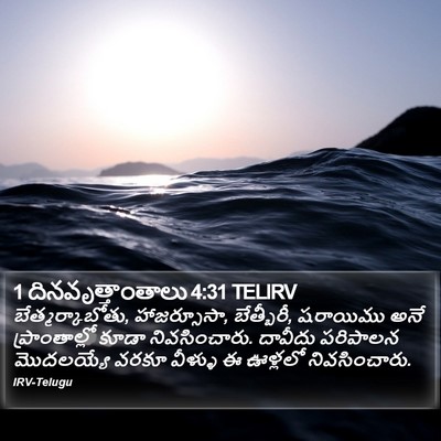 1 దినవృత్తాంతాలు 4:31 TELIRV Bible Verse Image
