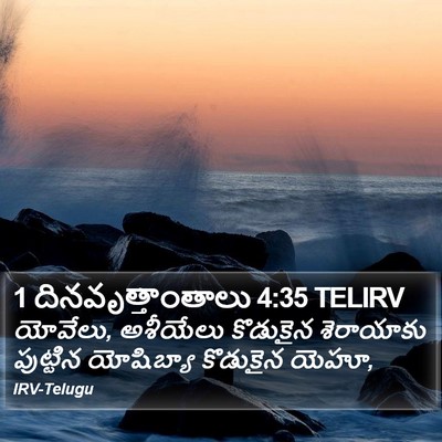1 దినవృత్తాంతాలు 4:35 TELIRV Bible Verse Image