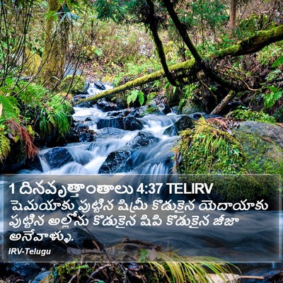 1 దినవృత్తాంతాలు 4:37 TELIRV Bible Verse Image