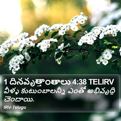1 దినవృత్తాంతాలు 4:38 TELIRV Bible Verse Image