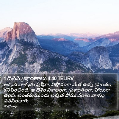 1 దినవృత్తాంతాలు 4:40 TELIRV Bible Verse Image