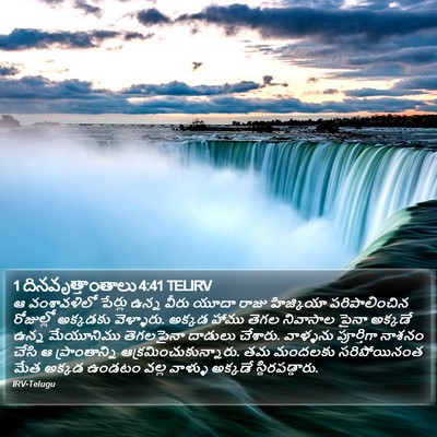 1 దినవృత్తాంతాలు 4:41 TELIRV Bible Verse Image