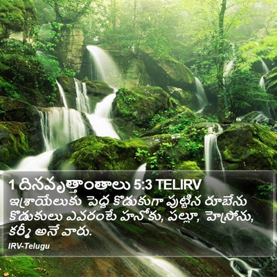 1 దినవృత్తాంతాలు 5:3 TELIRV Bible Verse Image