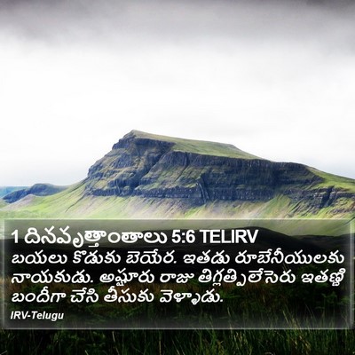 1 దినవృత్తాంతాలు 5:6 TELIRV Bible Verse Image