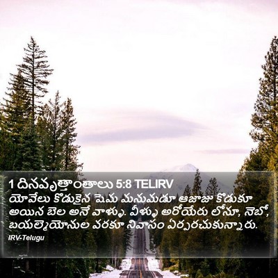 1 దినవృత్తాంతాలు 5:8 TELIRV Bible Verse Image