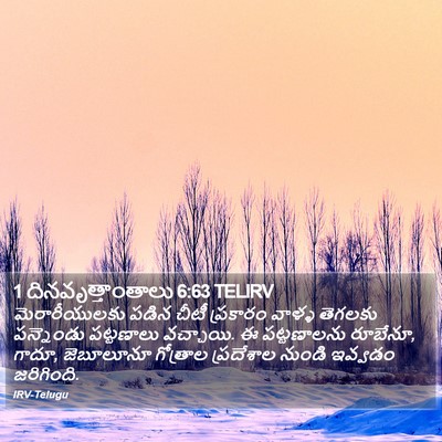 1 దినవృత్తాంతాలు 6:63 TELIRV Bible Verse Image