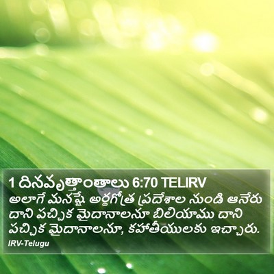 1 దినవృత్తాంతాలు 6:70 TELIRV Bible Verse Image