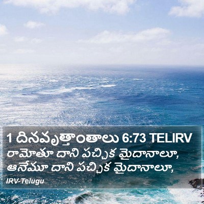 1 దినవృత్తాంతాలు 6:73 TELIRV Bible Verse Image