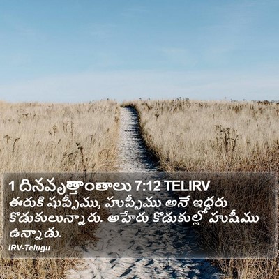 1 దినవృత్తాంతాలు 7:12 TELIRV Bible Verse Image
