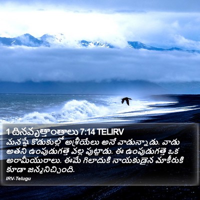 1 దినవృత్తాంతాలు 7:14 TELIRV Bible Verse Image