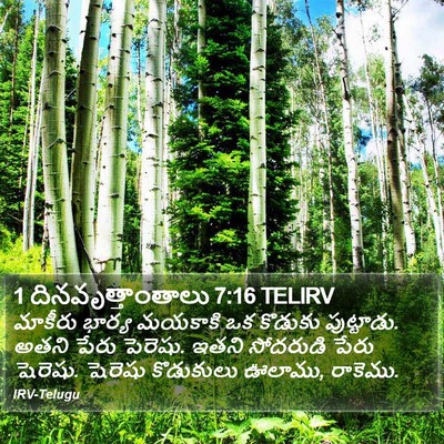 1 దినవృత్తాంతాలు 7:16 TELIRV Bible Verse Image
