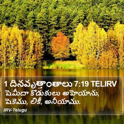 1 దినవృత్తాంతాలు 7:19 TELIRV Bible Verse Image