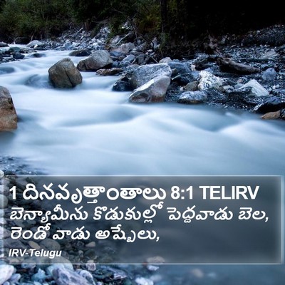 1 దినవృత్తాంతాలు 8:1 TELIRV Bible Verse Image