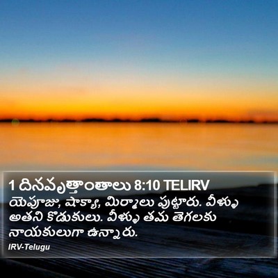 1 దినవృత్తాంతాలు 8:10 TELIRV Bible Verse Image