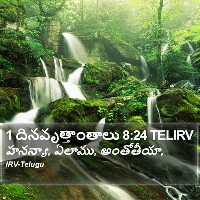 1 దినవృత్తాంతాలు 8:24 TELIRV Bible Verse Image