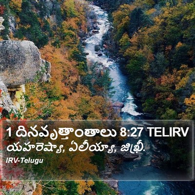 1 దినవృత్తాంతాలు 8:27 TELIRV Bible Verse Image