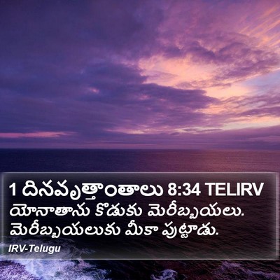 1 దినవృత్తాంతాలు 8:34 TELIRV Bible Verse Image