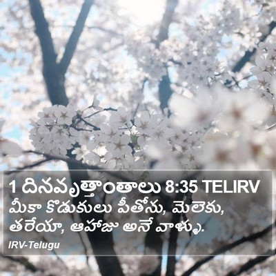 1 దినవృత్తాంతాలు 8:35 TELIRV Bible Verse Image