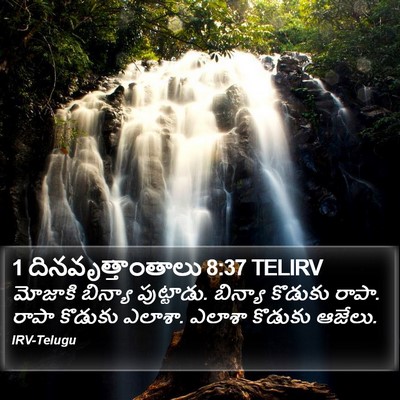 1 దినవృత్తాంతాలు 8:37 TELIRV Bible Verse Image