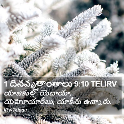 1 దినవృత్తాంతాలు 9:10 TELIRV Bible Verse Image
