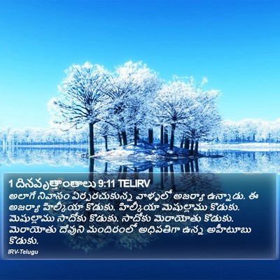 1 దినవృత్తాంతాలు 9:11 TELIRV Bible Verse Image