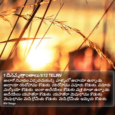 1 దినవృత్తాంతాలు 9:12 TELIRV Bible Verse Image