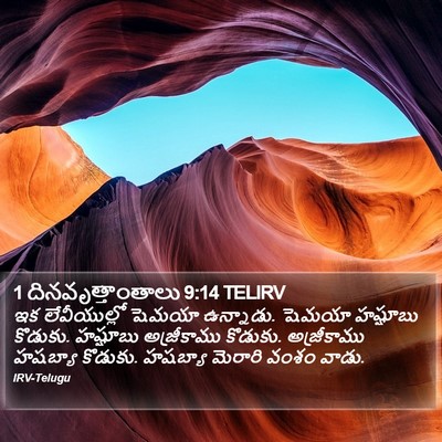 1 దినవృత్తాంతాలు 9:14 TELIRV Bible Verse Image