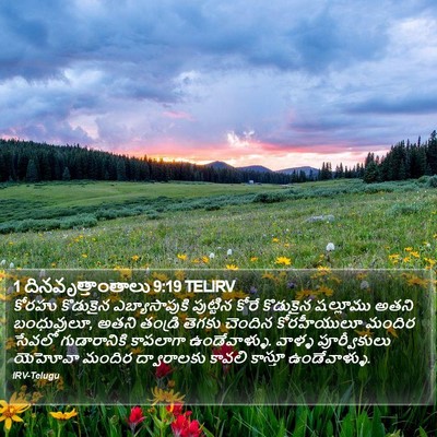 1 దినవృత్తాంతాలు 9:19 TELIRV Bible Verse Image