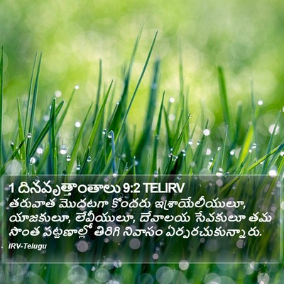 1 దినవృత్తాంతాలు 9:2 TELIRV Bible Verse Image