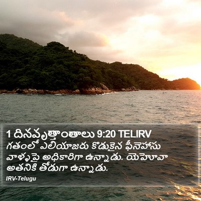 1 దినవృత్తాంతాలు 9:20 TELIRV Bible Verse Image