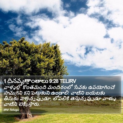 1 దినవృత్తాంతాలు 9:28 TELIRV Bible Verse Image