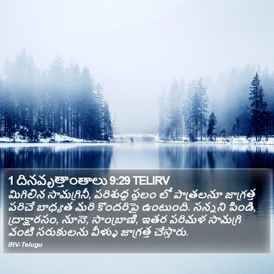 1 దినవృత్తాంతాలు 9:29 TELIRV Bible Verse Image