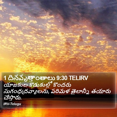 1 దినవృత్తాంతాలు 9:30 TELIRV Bible Verse Image