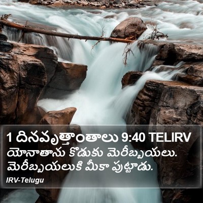 1 దినవృత్తాంతాలు 9:40 TELIRV Bible Verse Image