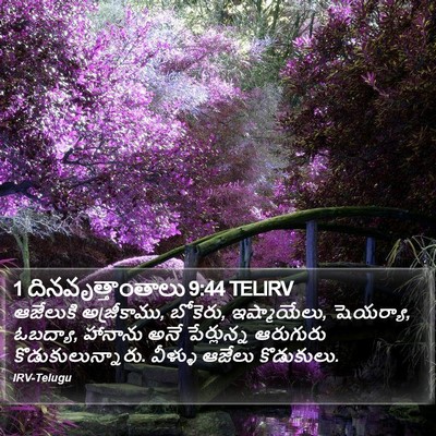 1 దినవృత్తాంతాలు 9:44 TELIRV Bible Verse Image