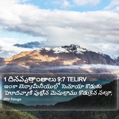 1 దినవృత్తాంతాలు 9:7 TELIRV Bible Verse Image