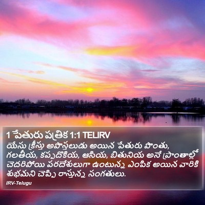 1 పేతురు పత్రిక 1:1 TELIRV Bible Verse Image