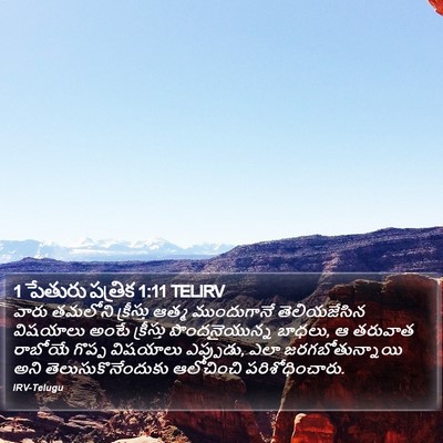 1 పేతురు పత్రిక 1:11 TELIRV Bible Verse Image