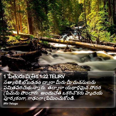 1 పేతురు పత్రిక 1:22 TELIRV Bible Verse Image
