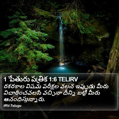 1 పేతురు పత్రిక 1:6 TELIRV Bible Verse Image
