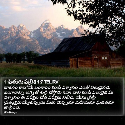 1 పేతురు పత్రిక 1:7 TELIRV Bible Verse Image
